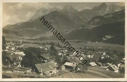 Chateau d'Oex - Foto-AK - Edition Societe Graphique Neuchatel