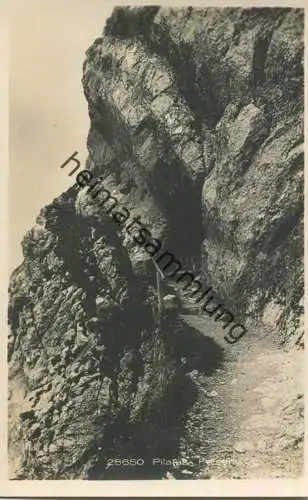 Pilatus - Felsenweg - Foto-AK - Verlag Wehrli AG Kilchberg