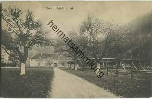 Gestüt Güterstein - Verlag H. Sting Tübingen