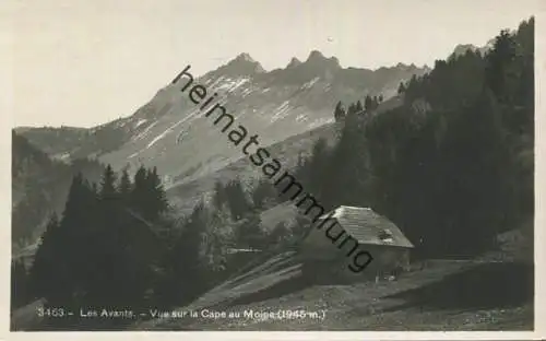 Les Avants - Vue sur la Cape au Moine - Foto-AK - Verlag Societe Graphique Neuchatel