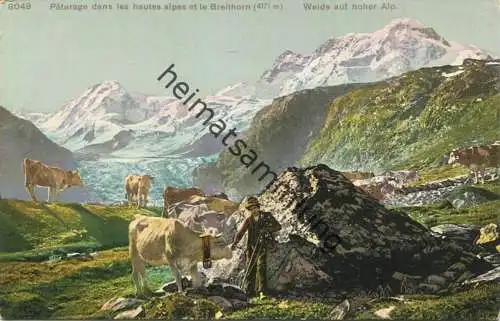 Paturage dans les hautes alpes et le Breithorn - Weide auf hoher Alp - Verlag Phototypie Neuchatel