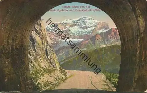 Blick von der Seelitalgalerie auf Kammlistock - Edition Photoglob Zürich