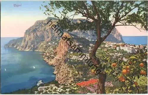 Capri - Panorama - Foto-AK 30er Jahre - Verlag Brunner & C. Como