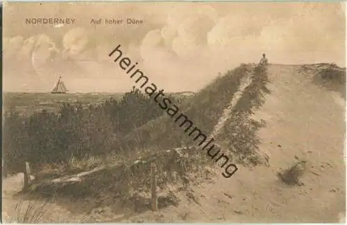 Norderney - Düne