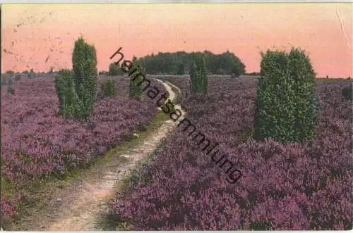 Lüneburger Heide - Weg im Steingrund - Verlag H. C. B. O. 1248