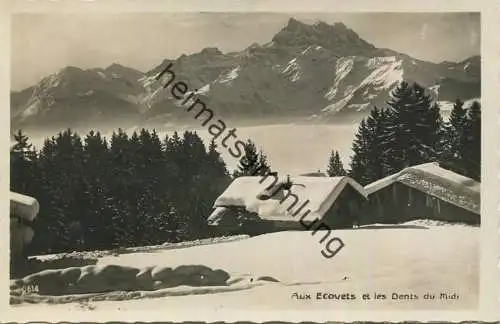 Aux Ecovets et les Dents du Midi - Foto-AK - Edition Perrochet-Matile Lausanne gel.