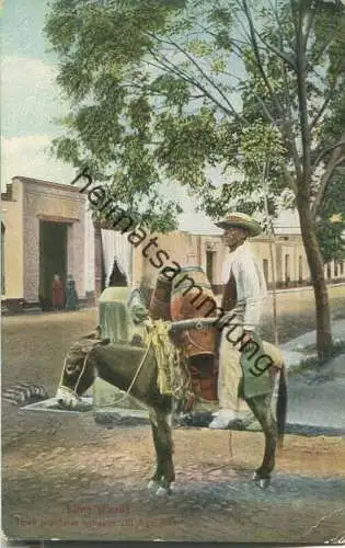 Peru - Lima - Tipos populares antiguos - El Aguador - Verlag E. Polack-Schneider Lima