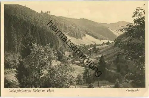 Sieber im Harz - Gesamtansicht - Foto-AK 30er Jahre - Verlag Foto Schindler & Co Osterode