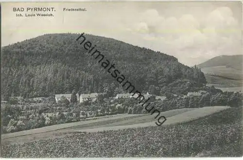 Bad Pyrmont - Friedensthal - Verlag Louis Weseloh Friedensthal