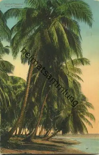 Panama - Coconut Plantation - Verlag I. L. Maduro Jr. Panama