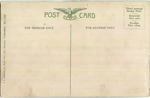 Interior of Panama - Wild Bush Man - Verlag I. L. Maduro Jr. Panama