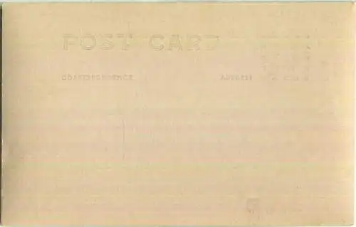 Panama - Iguana - Native Relish - Foto-AK 20er Jahre