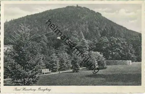 Bad Harzburg - Burgberg - Seilbahn - Verlag Cramers Kunstanstalt Dortmund