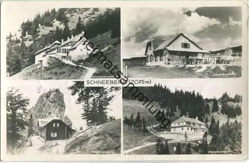 Schneeberg - Sparbacher- und Kientalerhütte - Baumgartner- und Damböckhaus - Verlag Heinrich Schuhmann Wien