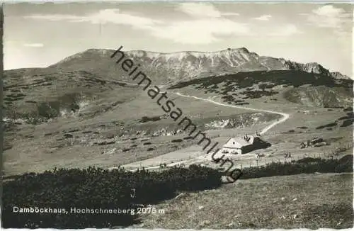 Damböckhaus - Hochschneeberg - Verlag J. Mark Scheibbs