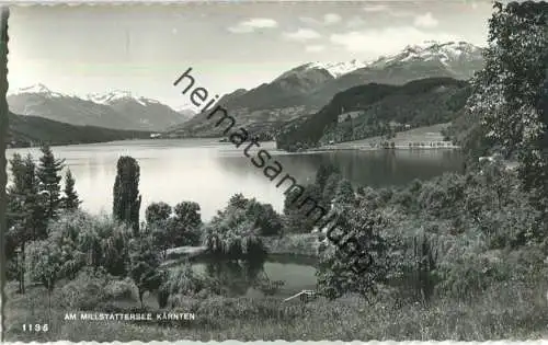 Am Milstättersee - Foto-Ansichtskarte - Verlag Foto H. Tollinger Bad Döbriach