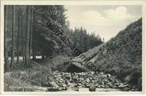 Dresdner Heide - Waldpartie an der Priessnitz - Verlag A. & R. Adam Dresden