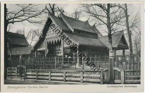 Zoologischer Garten Berlin - Siamesisches Büffelhaus - Verlag des Aktien-Vereins des Zoologischen Gartens zu Berlin