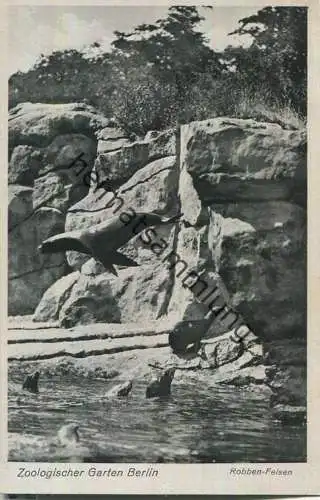 Zoologischer Garten Berlin - Robben-Felsen - Verlag des Aktien-Vereins des Zoologischen Gartens zu Berlin 40er Jahre