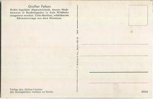 Zoologischer Garten Berlin - Grosser Felsen - Alpensteinbock - Verlag des Aktien-Vereins des Zoologischen Gartens