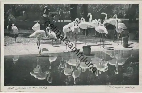 Zoologischer Garten Berlin - Stelzvogel-Freianlage - Verlag des Aktien-Vereins des Zoologischen Gartens zu Berlin