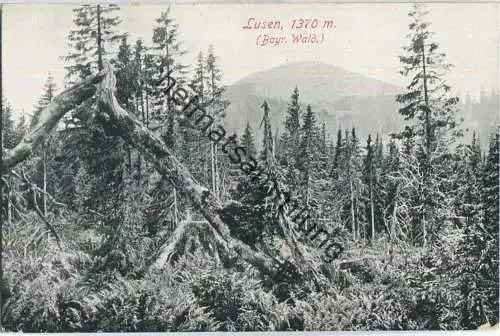 Lusen - Verlag Löffler & Co. Greiz