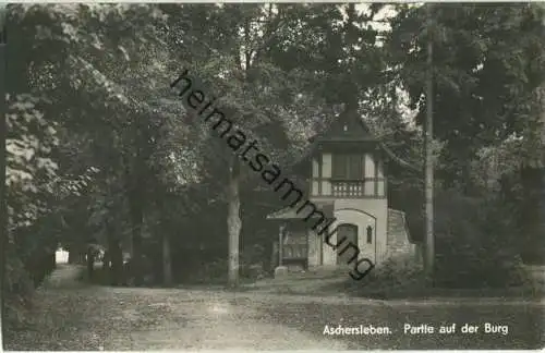 Aschersleben - Partie auf der Burg - Foto-AK - Verlag Otto Diederichs Halberstadt
