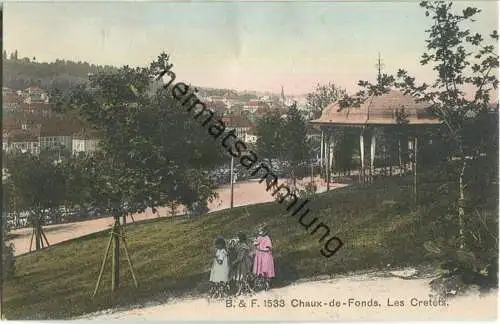 Chaux-de-Fonds - Les Cretets - Edition Franco Suisse Berne