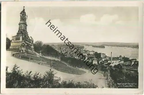National-Denkmal und Rüdesheim - Foto-AK