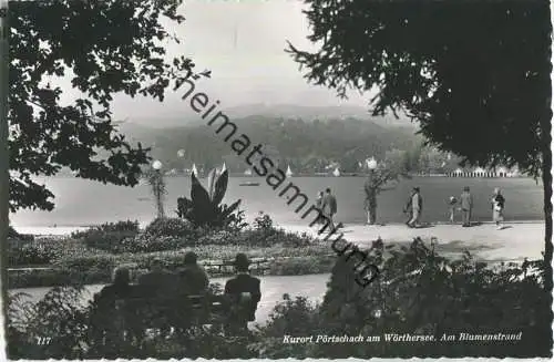 Pörtschach - am Blumenstrand - Foto-AK - Verlag Franz Schilcher Klagenfurt