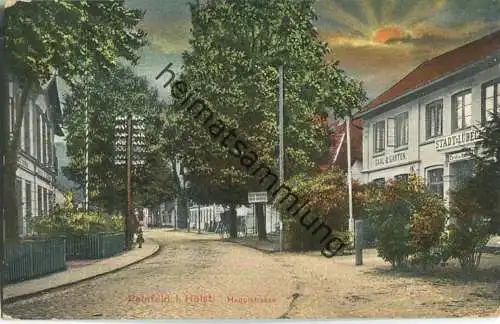 Reinfeld - Hauptstrasse - Verlag A. Sternberg Hamburg