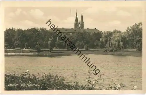 Stendal - Schwanenteich - Foto-AK - Verlag Schöning & Co. Lübeck