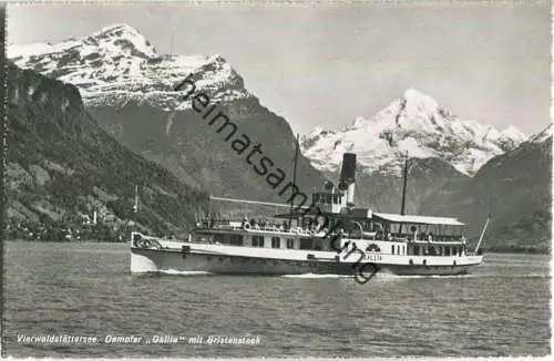 Vierwaldstättersee - Fahrgastschiff Gallia mit Bristenstock - Foto-Ansichtskarte - Verlag Photoglob-Wehrli AG Zürich