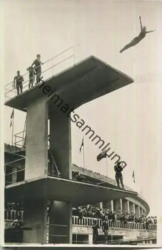 Olympische Spiele 1936 - Kunstspringer - Foto-Ansichtskarte - Amtliche Olympia-Postkarte