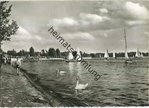 Berlin-Tegel - Am Tegeler See - Foto-Ansichtskarte - Verlag Foto-Hübner Berlin