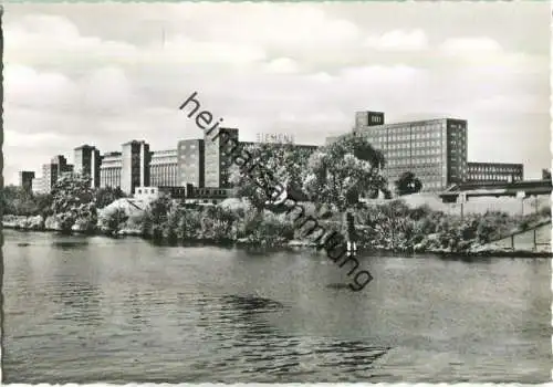 Berlin - Siemensstadt - Spree und Werner-Werk - Foto-Ansichtskarte - Verlag Franz Alschner Berlin