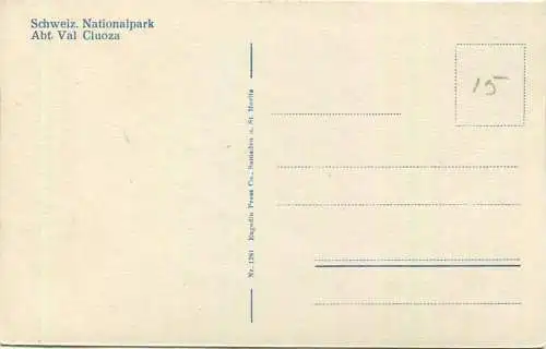 Panorama von der Alp Murter - Foto-AK - Schweiz. Nationalpark Abt. Val Cluoza - Verlag Engadin Press Samaden