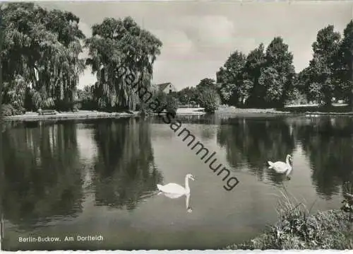 Buckow - Am Dorfteich - Foto-Ansichtskarte - Verlag Kunst und Bild Berlin