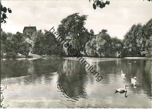 Buckow - Am Buckower Dorfteich - Foto-Ansichtskarte - Verlag Kunst und Bild Berlin