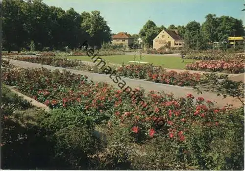 Berlin - Alt-Britz - Rosengarten - Verlag Kunst und Bild Berlin