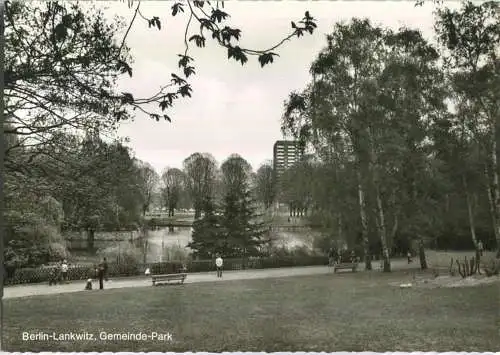 Lankwitz - Gemeinde-Park - Foto-Ansichtskarte - Verlag Kl.-P. Heyn Berlin