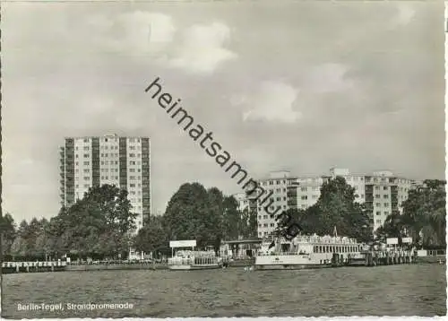 Berlin-Tegel - Strandpromenade - MS Else und Vaterland - Foto-Ansichtskarte - Verlag Kunst und Bild Berlin