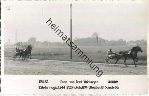 Trabrennen - Preis von Bad Wildungen - Stella - Fahrer H. Witt - Besitzer Gestüt Damsbrück - Foto-AK 17.06.1956