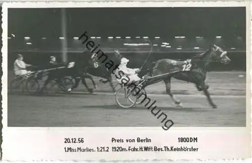 Trabrennen - Preis von Berlin - Miss Marlies - Fahrer H. Witt - Besitzer Th. Keinhörster - Foto-AK 20.12.1956