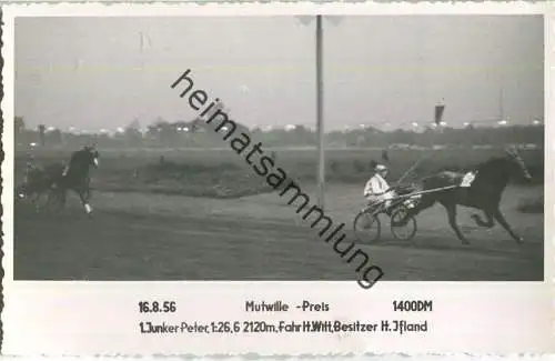 Trabrennen - Mutwille Preis - Junker Peter - Fahrer Heinz Witt - Besitzer H. Ifland - Foto-AK 20.12.1956