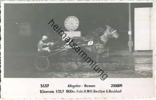 Trabrennen - Alligator Rennen - Ckerone - Fahrer Heinz Witt - Besitzer E. Bockholt - Foto-AK 03.01.1957