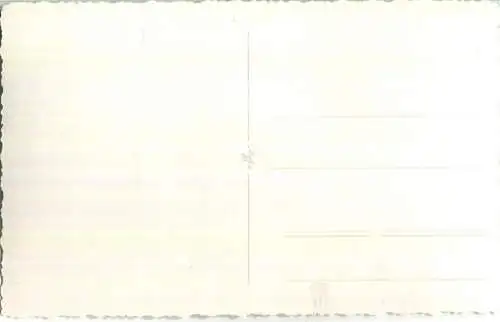 Trabrennen - Alligator Rennen - Ckerone - Fahrer Heinz Witt - Besitzer E. Bockholt - Foto-AK 03.01.1957