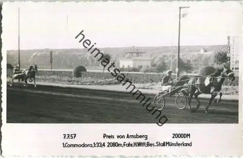 Trabrennen - Preis von Arnsberg - Commodora - Fahrer Heinz Witt - Besitzer Stall Münsterland - Foto-AK 07.07.1957