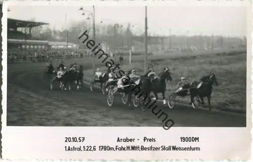 Trabrennen - Araber Preis - Astral - Fahrer Heinz Witt - Besitzer Stall Weissenturm - Foto-AK 20.10.1957