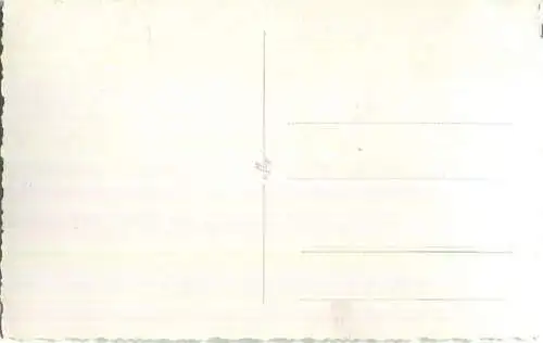 Trabrennen - Araber Preis - Astral - Fahrer Heinz Witt - Besitzer Stall Weissenturm - Foto-AK 20.10.1957